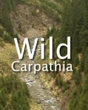 Wild Carpathia film documentar