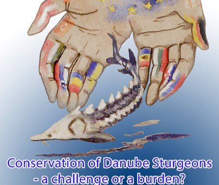 Conferința Internațională ”Conservation of Danube Sturgeons - a challenge or a burden?”, care va fi organizată de Universitatea „Dunărea de Jos” din Galați în perioada 28-30 octombrie 2019