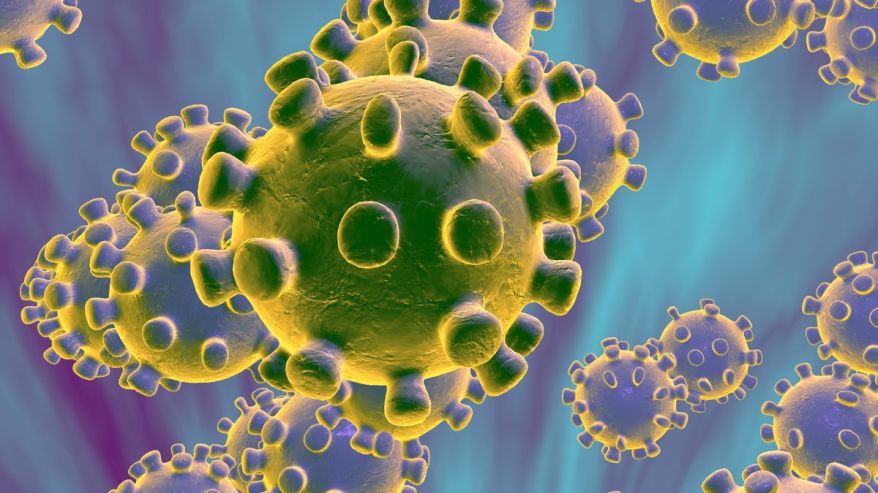 epidemie coronavirus
