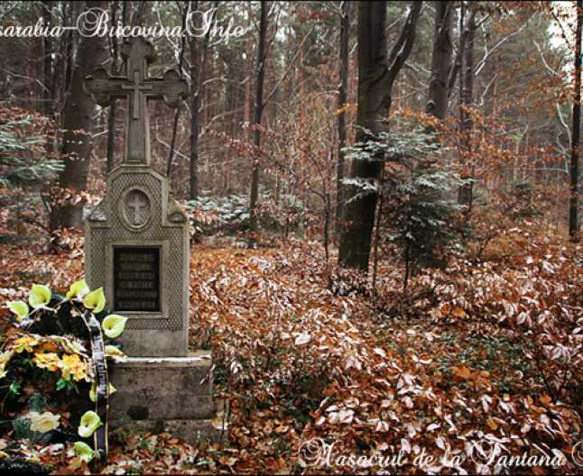 Masacrul de la Fântâna Albă, un Katyn românesc