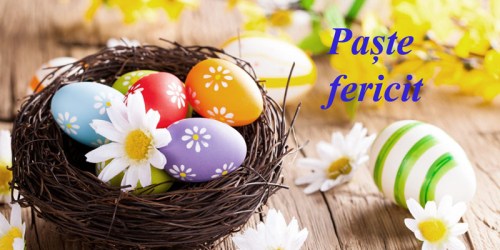 paste fericit