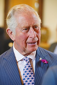 Prince_Charles_Ireland